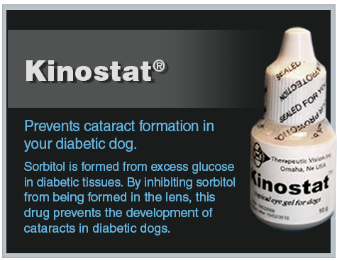 Kinostat-1