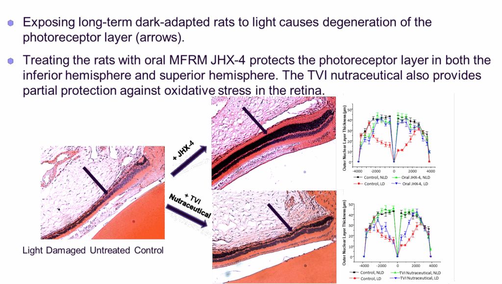 A geometric logo with hexagon and triangle shapes inside an oval.