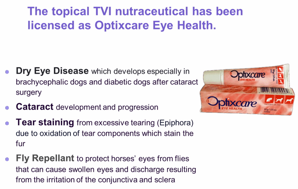 A geometric logo with hexagon and triangle shapes inside an oval.